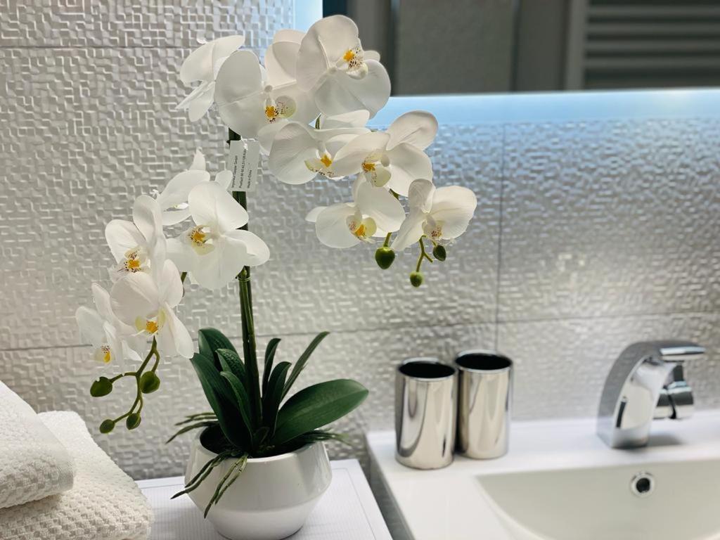 Traumperle Appartement